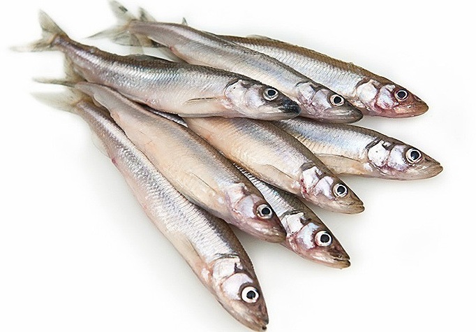 Мойва с/м НР вес