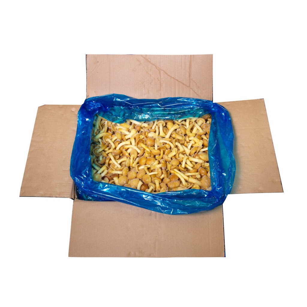 Грибы опята ЛК-Регион 10 кг коробка