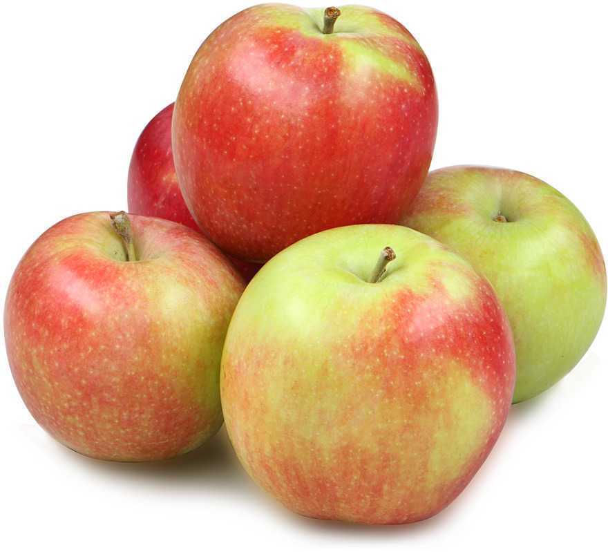 Яблоки сезонные (ОД)