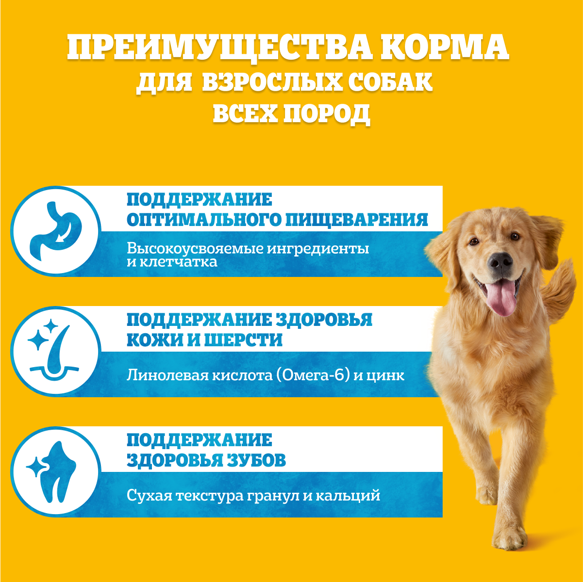 Сухой полнорационный корм Pedigree для взрослых собак всех пород, с говядиной, 600г