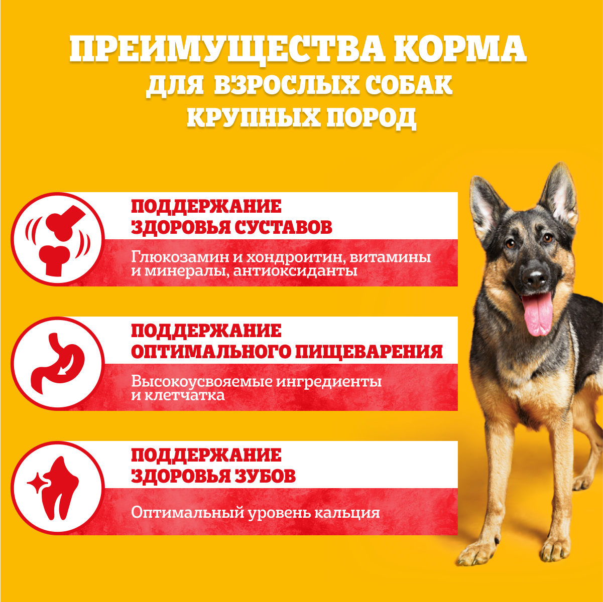 Сухой корм Pedigree для взрослых собак крупных пород больше 25 кг, с говядиной, 13кг
