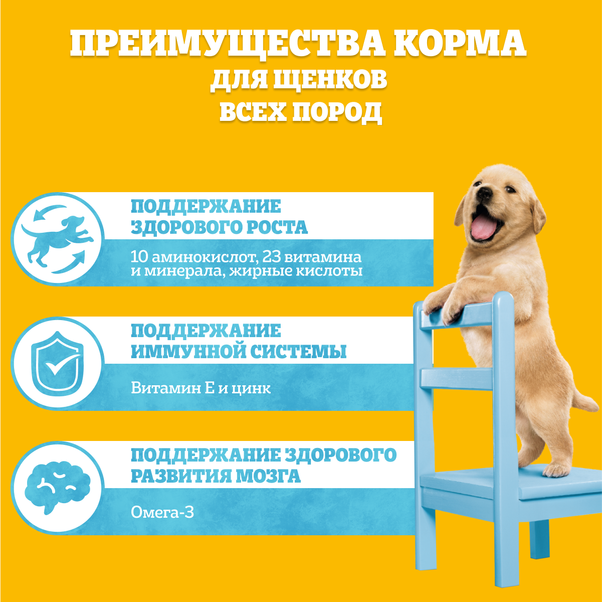 Сухой полнорационный корм Pedigree для щенков всех пород с 2 месяцев, с курицей, 600г