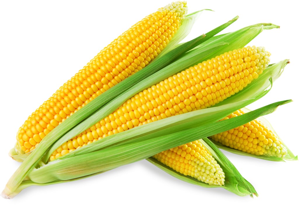 Кукуруза 1шт