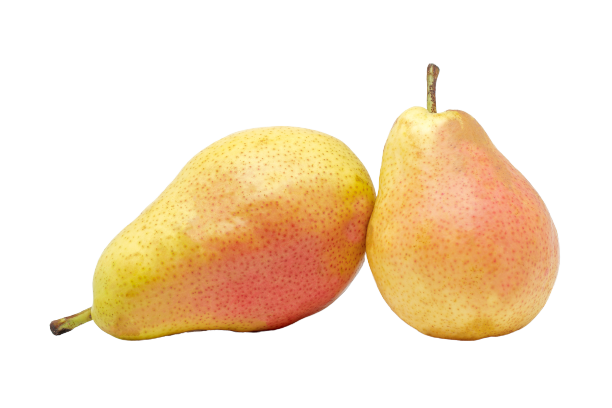 Груши Форелл (АБР)