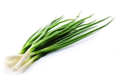 Зеленый лук