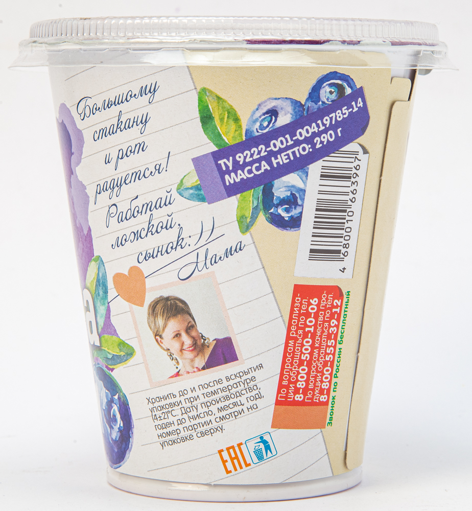 Йогурт фруктовый  Село Домашкино со вкусом черники 2,5% 290г пл.стакан