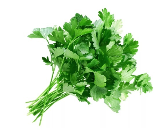 Зелень Петрушка  (ОД)