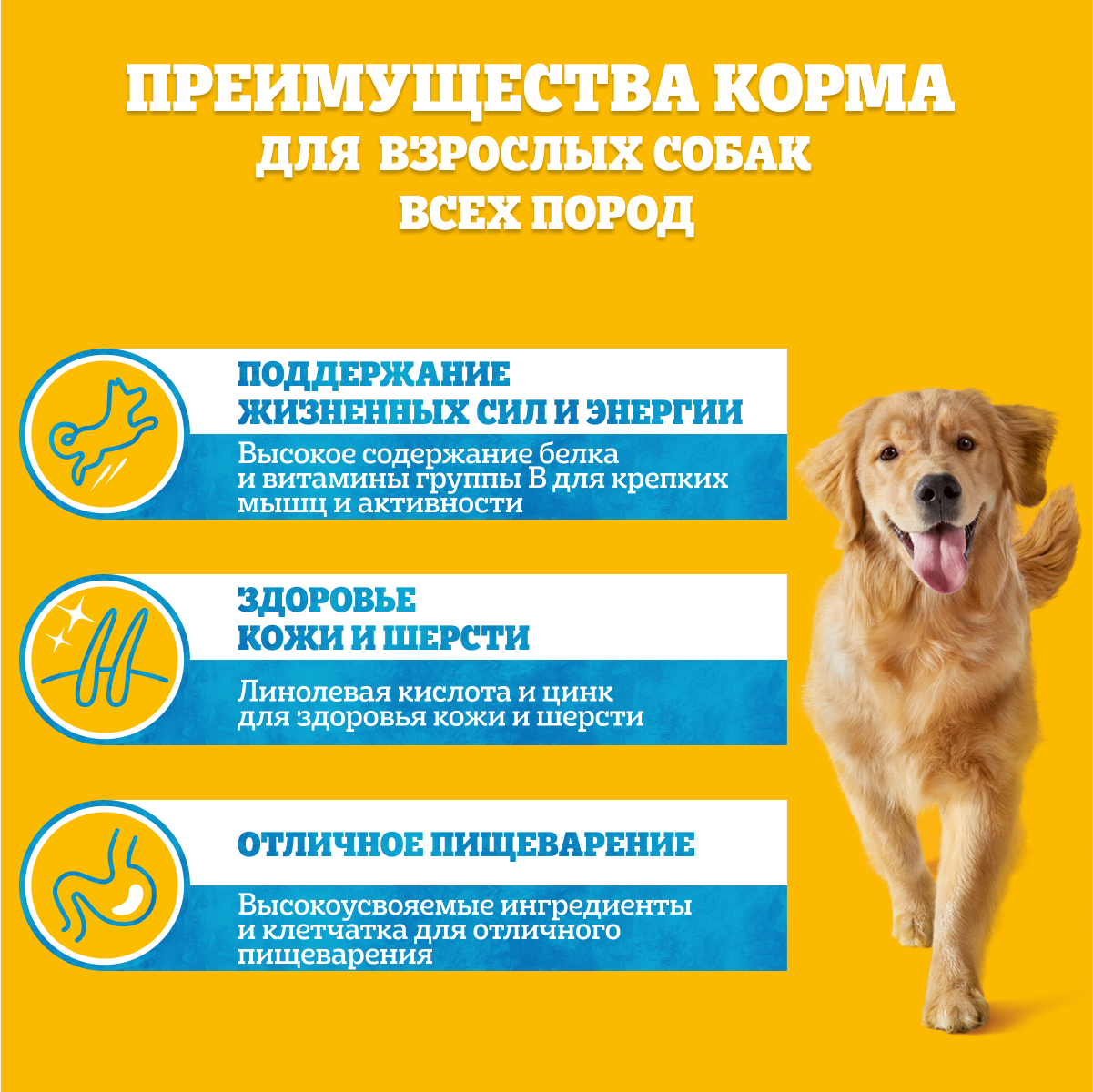 Влажный корм Pedigree для взрослых собак всех пород, с кроликом и индейкой в соусе, 28х85г