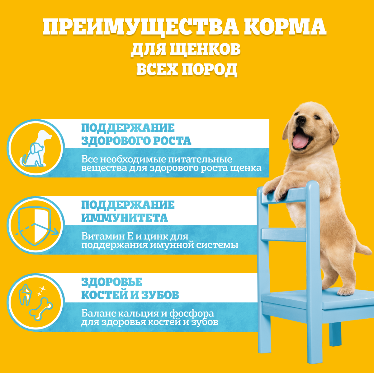 Влажный корм Pedigree для щенков всех пород, с говядиной в соусе, 28х85г