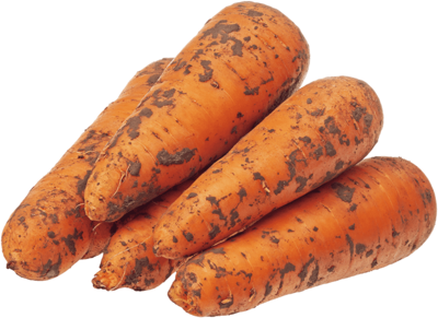 Морковь свежая 1кг(ОД)