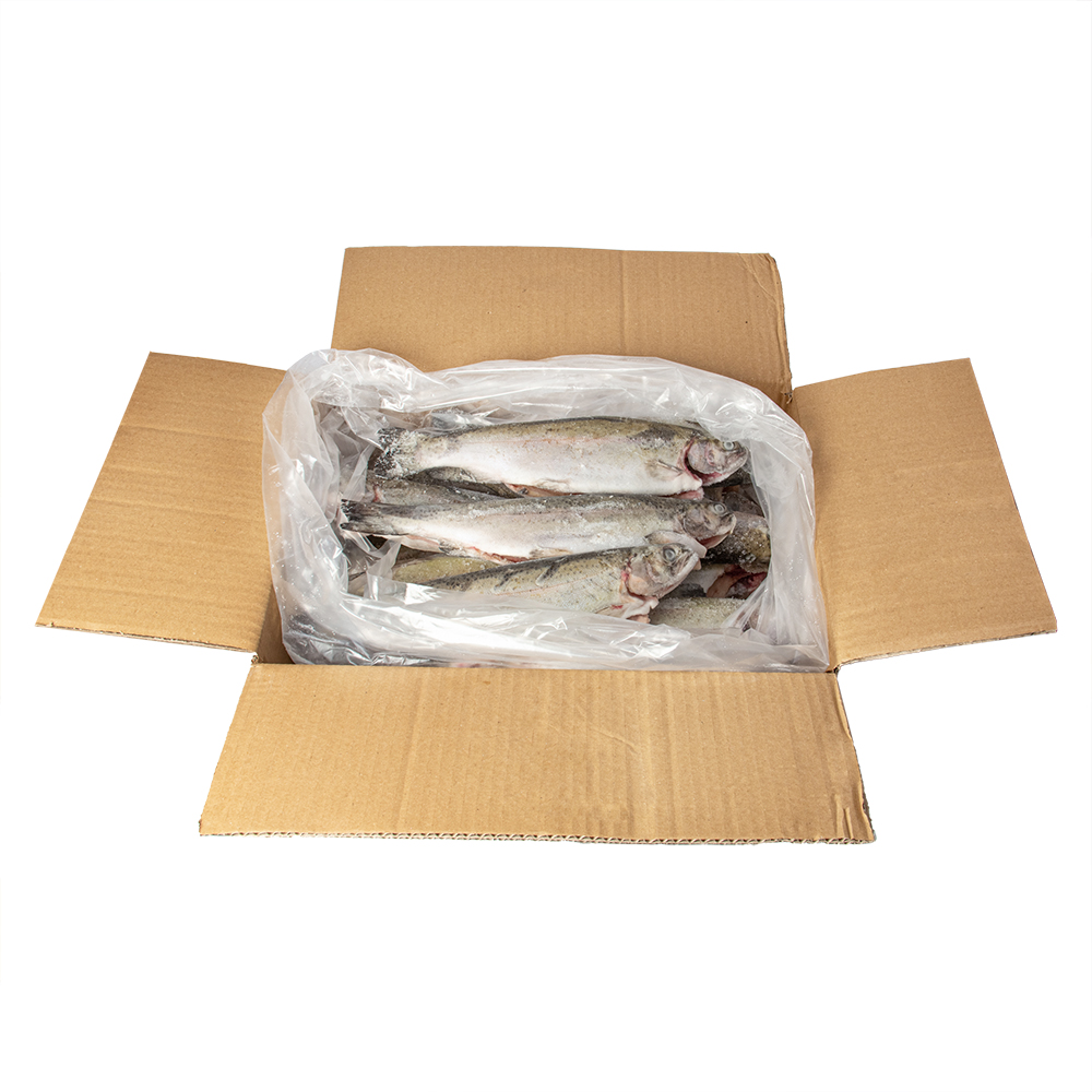 Форель радужная, IQF, 250-300г (1x5кг, упак 1/5, Турция)