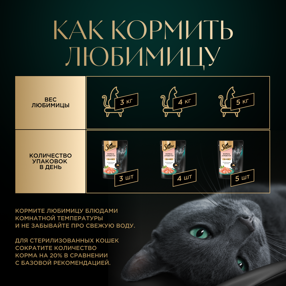 Влажный корм для кошек Sheba Ломтики в соусе с форелью и креветками, 28х75г