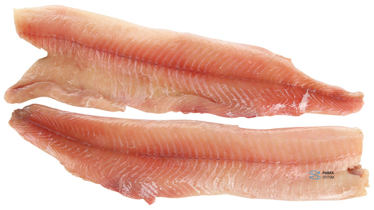 Филе щуки РК Премиум б/к  12кг