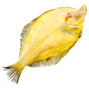Камбала желтобрюх. ПБГ зам. 22кг