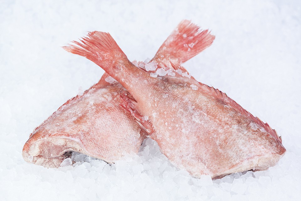 Окунь морской ПБГ 18кг