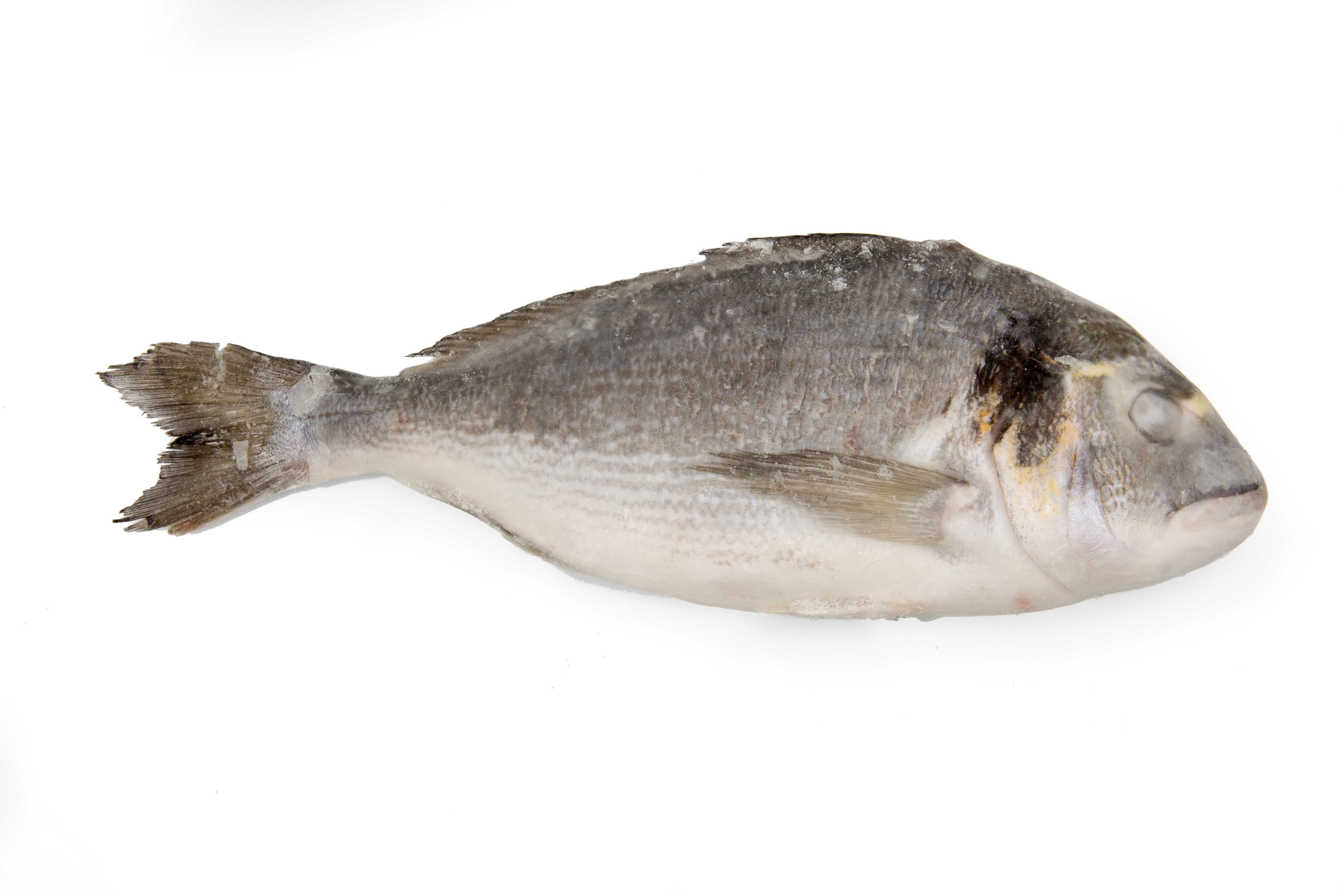 Дорадо 300-400 н/р с/м