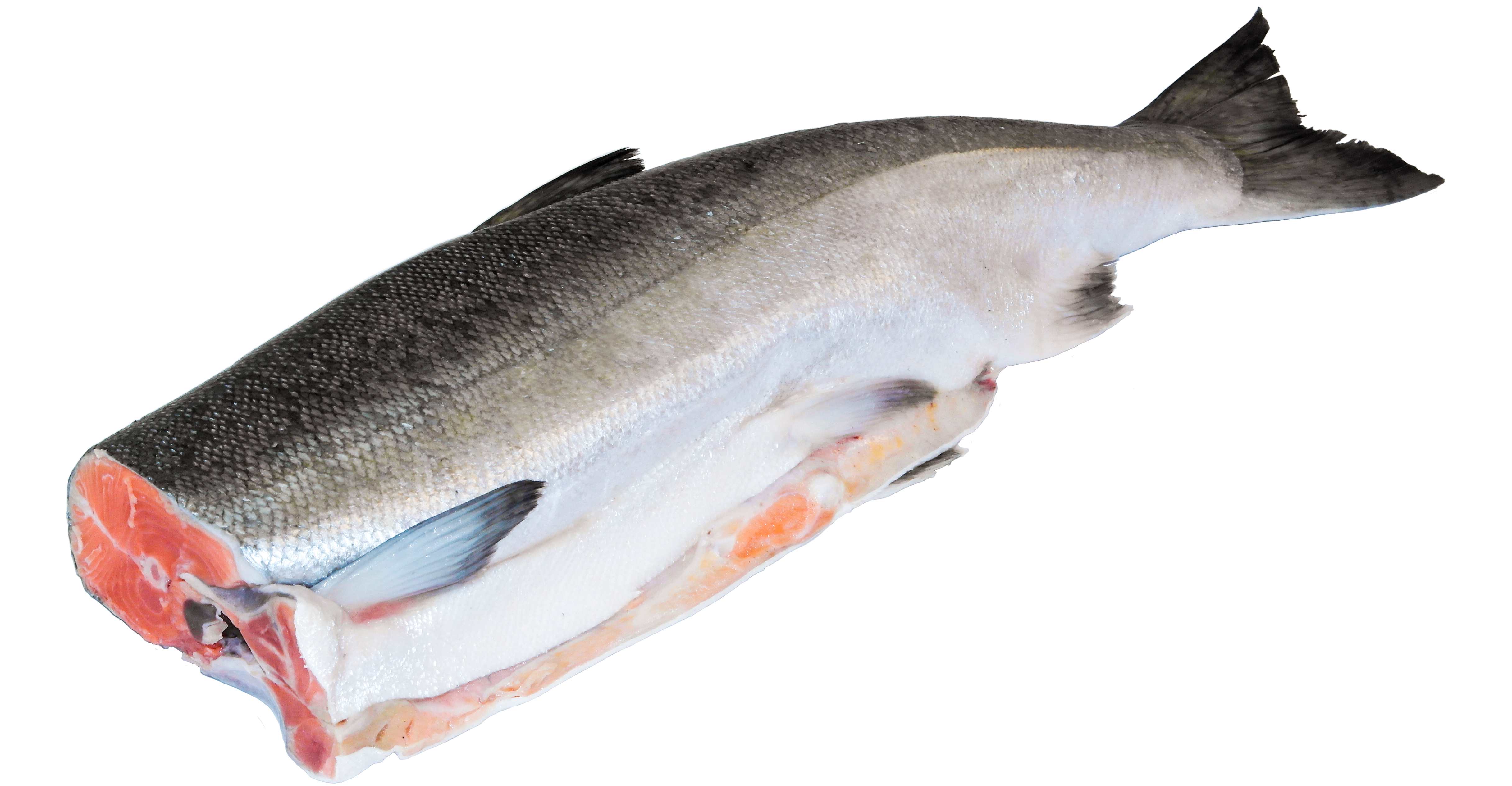 Горбуша ПБГ зам 22 кг