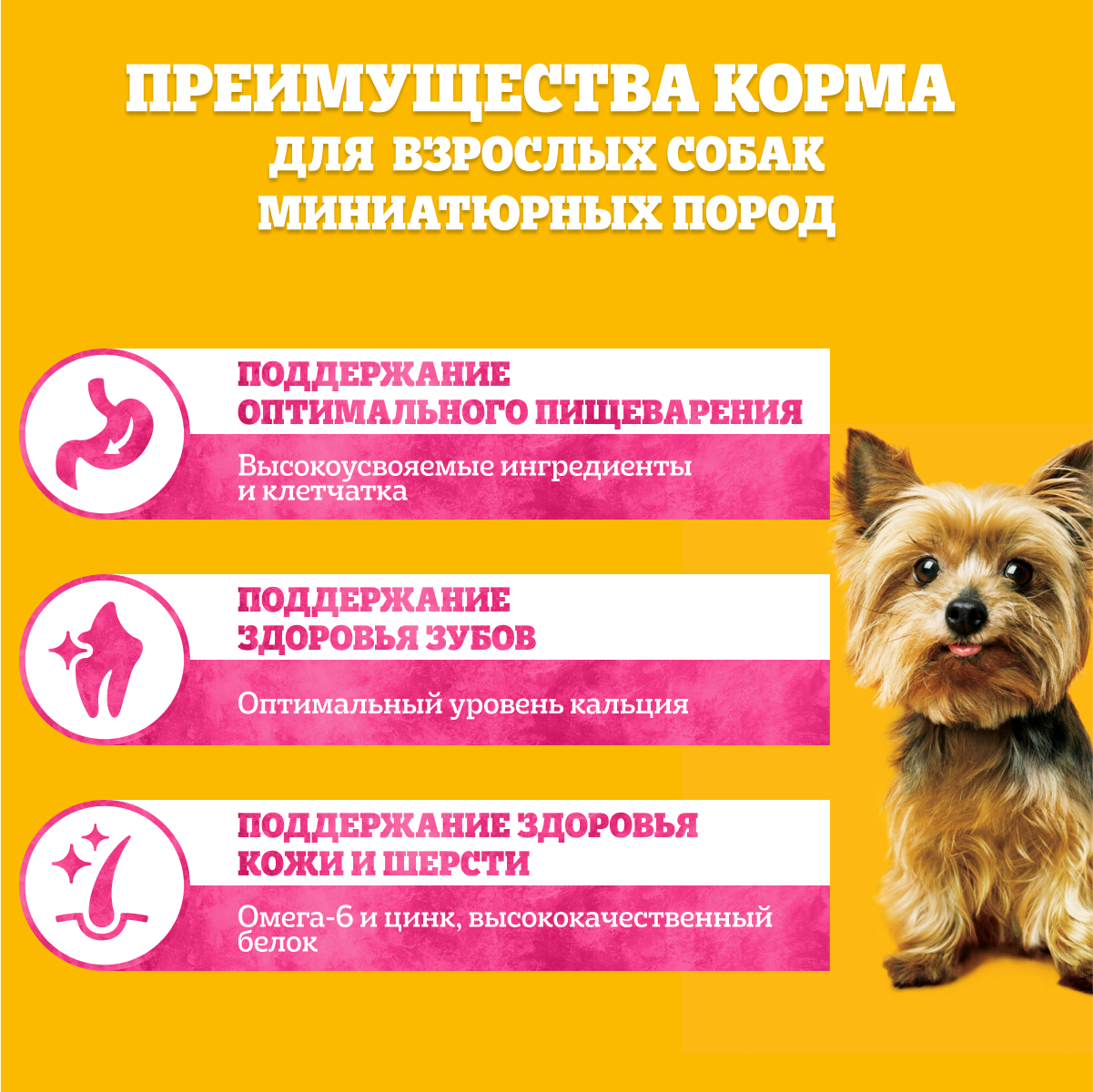 Сухой корм Pedigree для взрослых собак миниатюрных пород, с говядиной, 12х600г