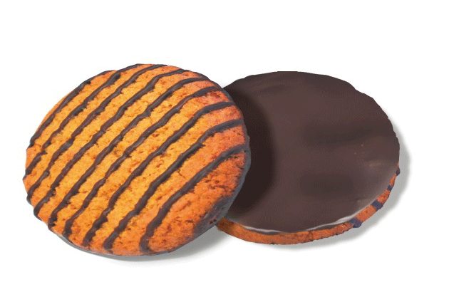 Печенье овсяное Сладкая Слобода  Умный покупатель Домашнее глазир 2,7кг