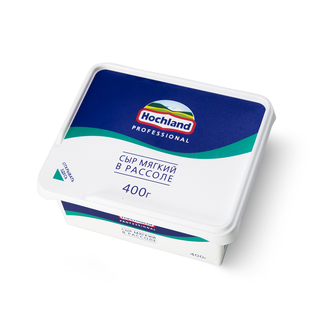 Сыр мягкий в рассоле Хохланд Professional 480 г (сух.вес 400 г)