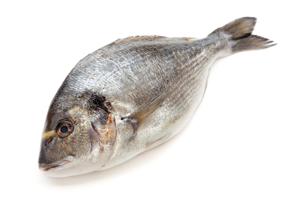 Дорадо н/р с/м 400-600  зам.